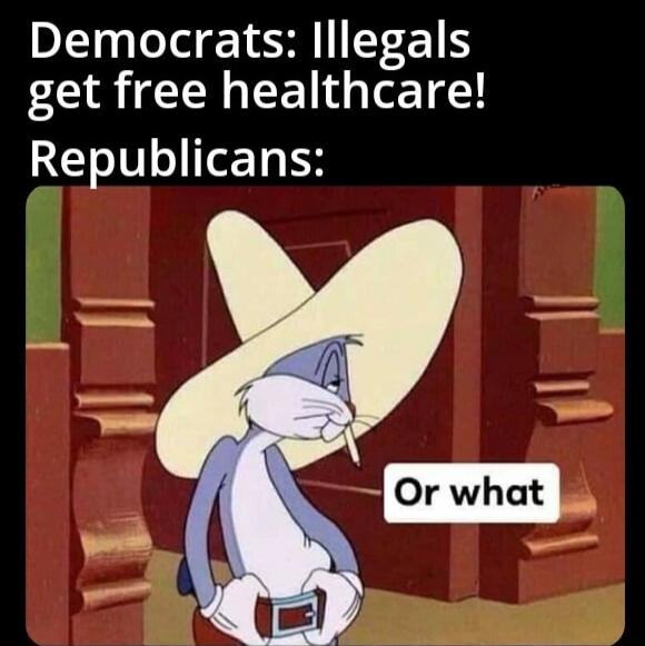 Democrats: Illegals get free healthcare! Republicans: Or what