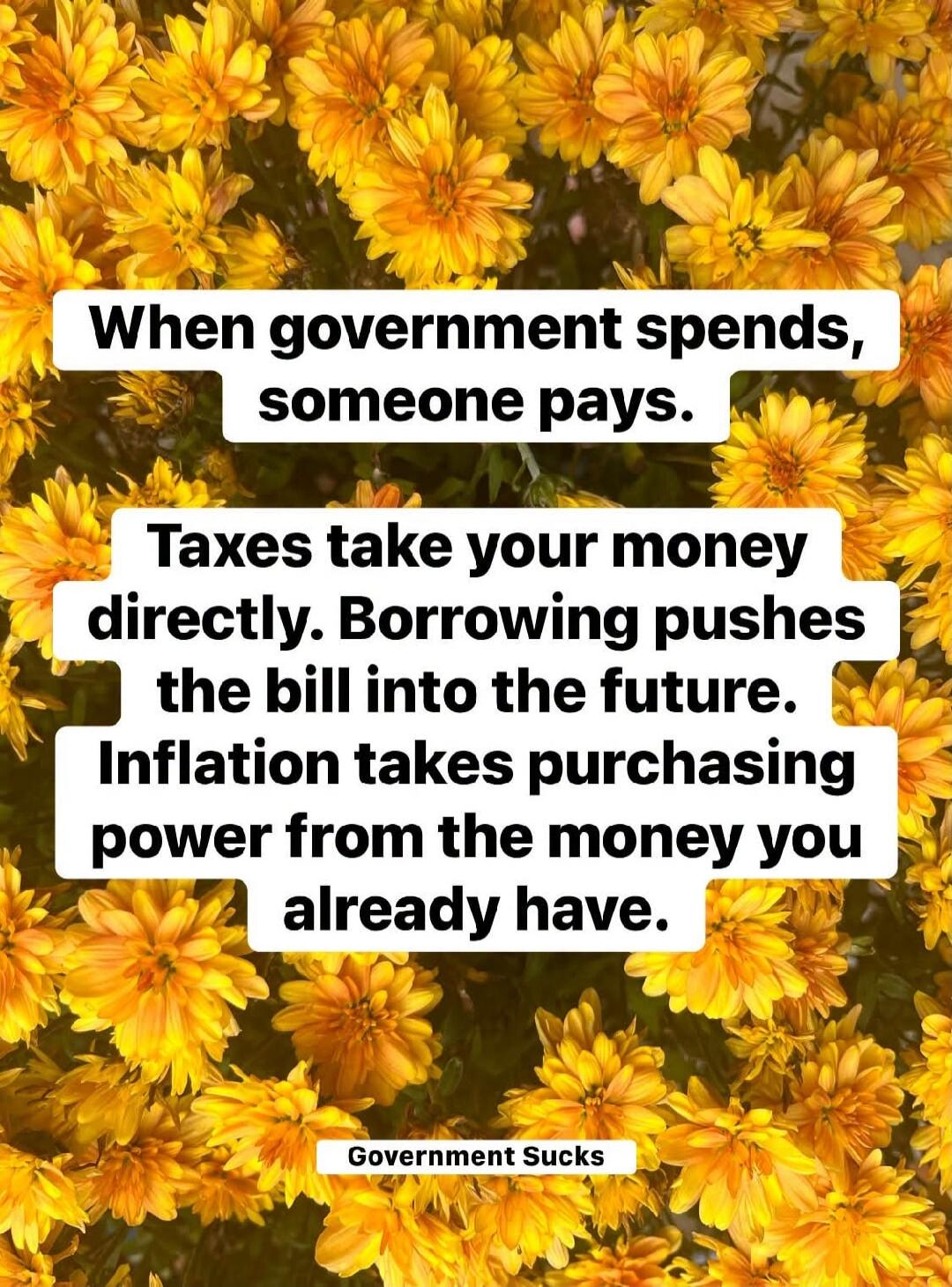 When government spends, someone pays. Taxes take your money directly. Borrowing pushes the bill into the future. Inflation takes purchasing power from the money you already have. Government Sucks