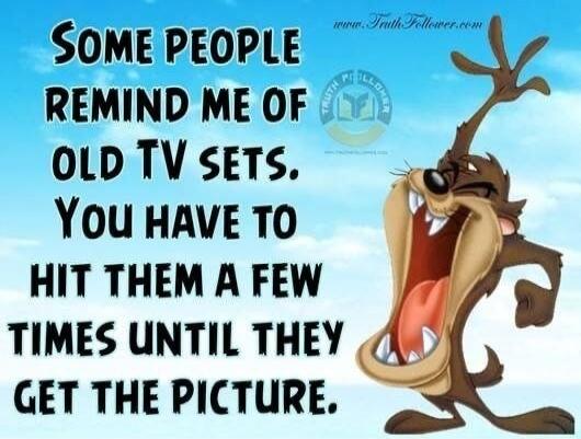 SOME PEOPLE REMIND ME OF OLD TV SETS. YOU HAVE TO HIT THEM A FEW TIMES UNTIL THEY GET THE PICTURE.