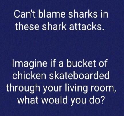 Can't blame sharks in these shark attacks. Imagine if a bucket of chicken skateboarded through your living room, what would you do?