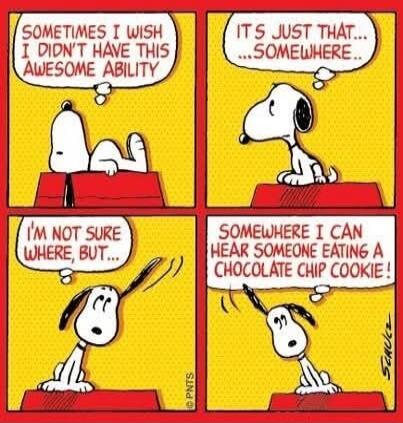 Sometimes I wish I didn't have this awesome ability
It's just that... somewhere...
I'm not sure where, but...
Somewhere I can hear someone eating a chocolate chip cookie!