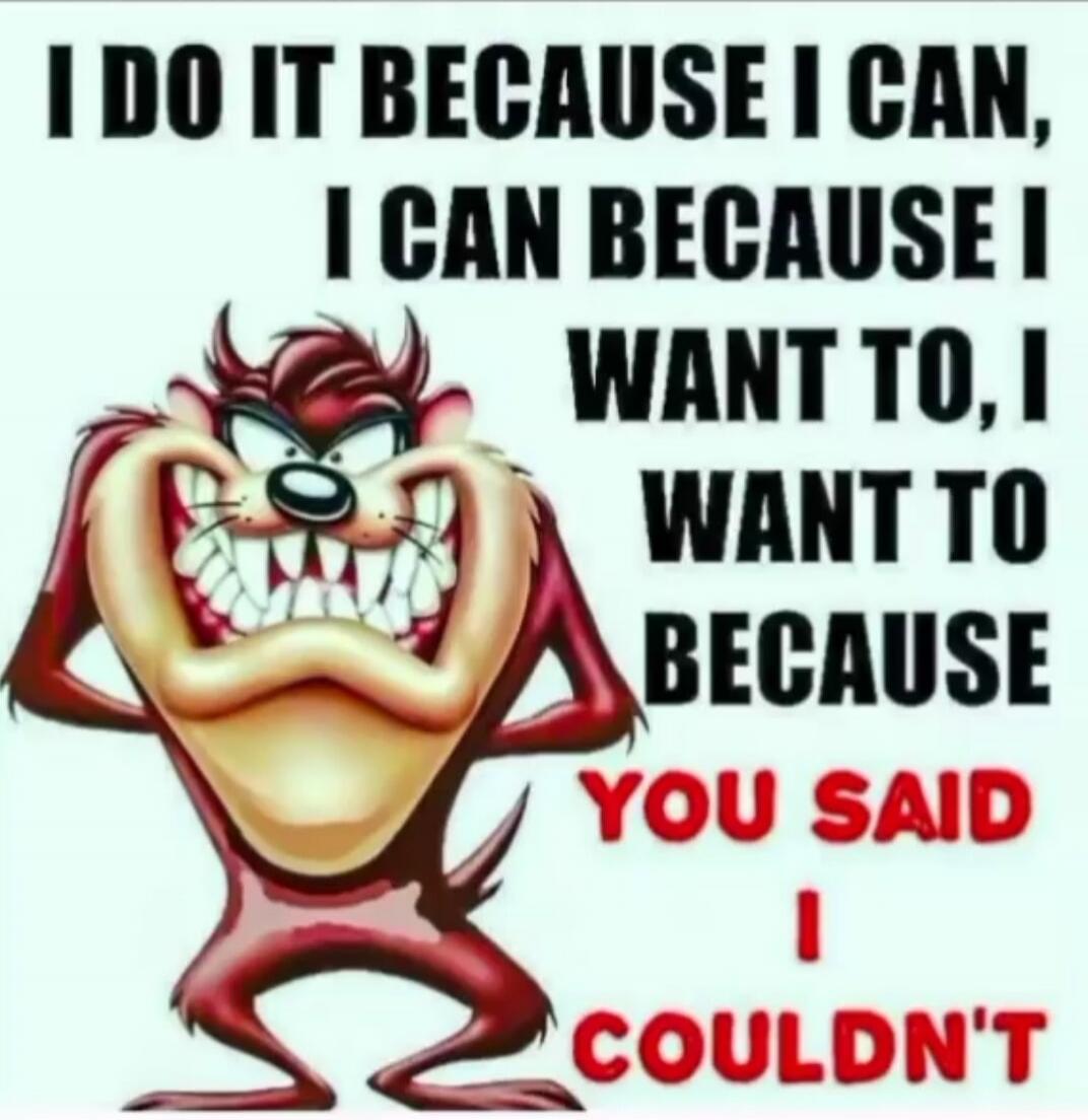 I DO IT BECAUSE I CAN, I CAN BECAUSE I WANT TO, I WANT TO BECAUSE YOU SAID I COULDN'T