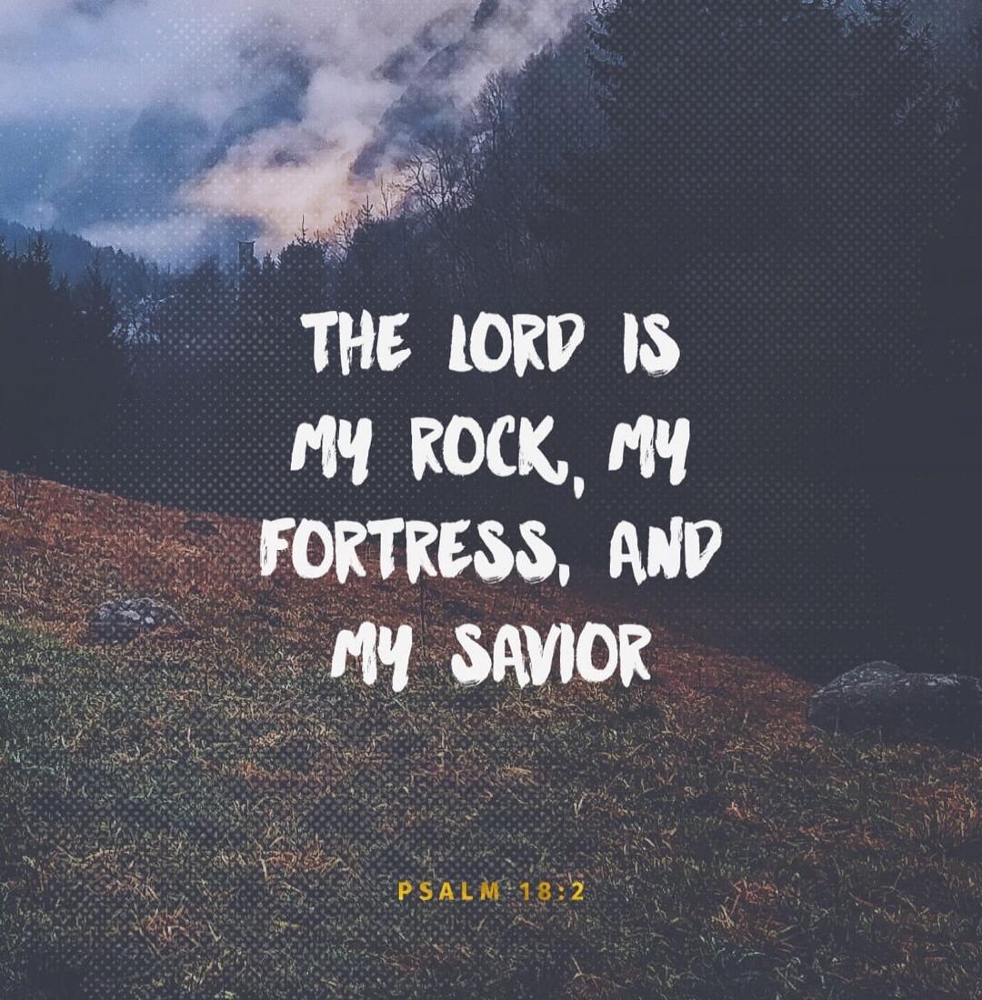 THE LORD IS MY ROCK, MY FORTRESS, AND MY SAVIOR. PSALM 18:2