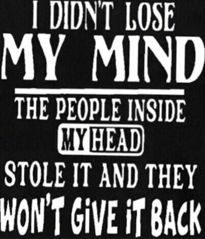 I DIDN'T LOSE MY MIND THE PEOPLE INSIDE MY HEAD STOLE IT AND THEY WON'T GIVE IT BACK
