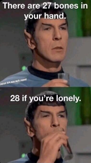 There are 27 bones in your hand. 28 if you're lonely. Captain Kirk Man Myth Legend