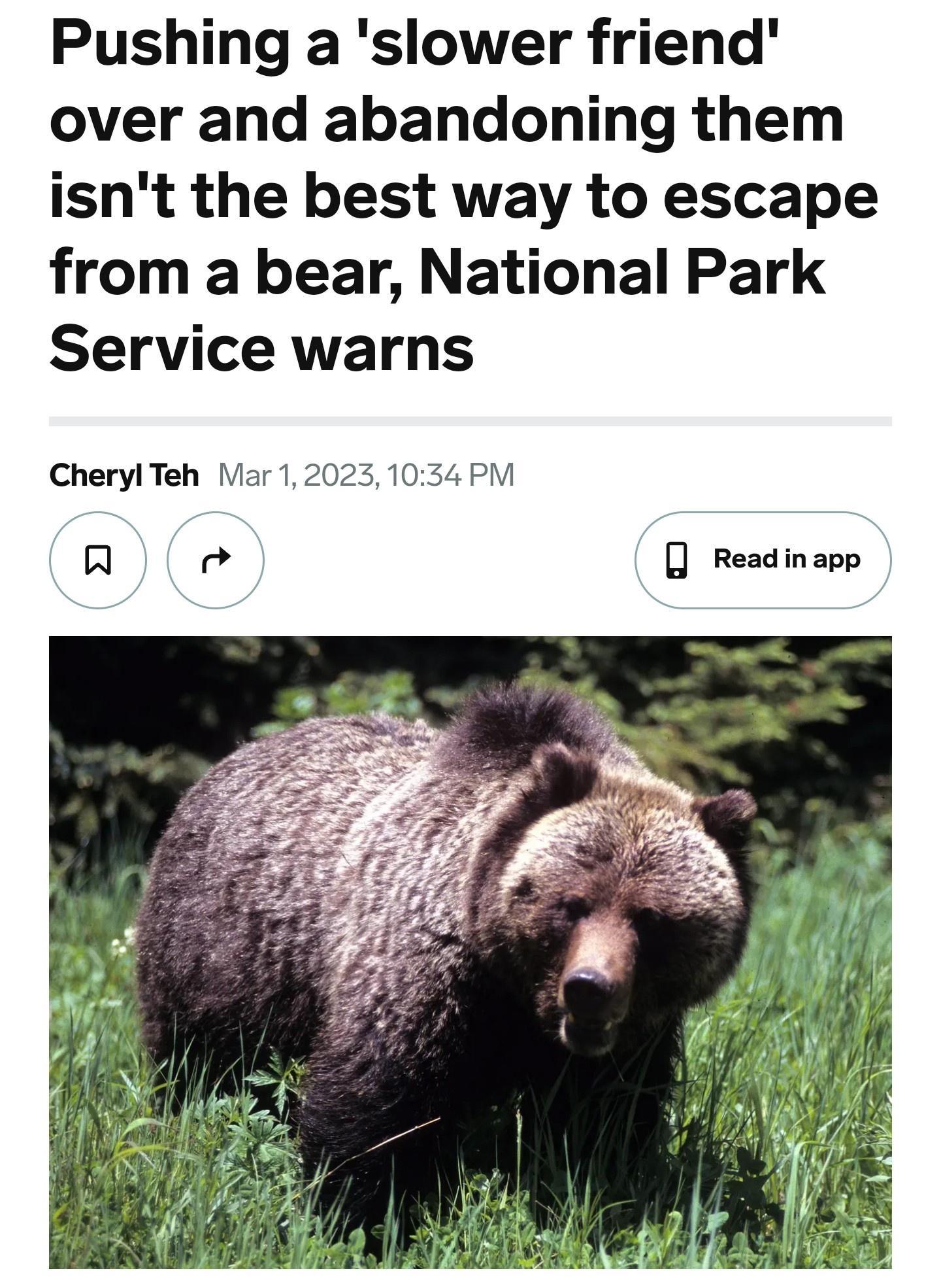 Pushing a slower friend over and abandoning them isnt the best way to escape from a bear National Park Service warns CherylTeh Mar 120231034 PM Qe 0 Readinapp