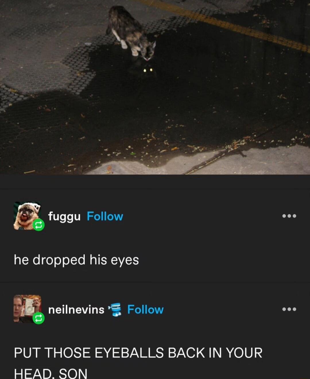 a fuggu Follow he dropped his eyes m neilnevins Follow PUT THOSE EYEBALLS BACK IN YOUR HEAD SON