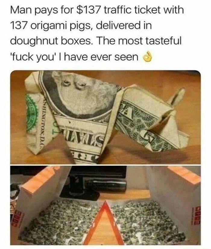 Man pays for 137 traffic ticket with 137 origami pigs delivered in doughnut boxes The most tasteful fuck you have ever seen