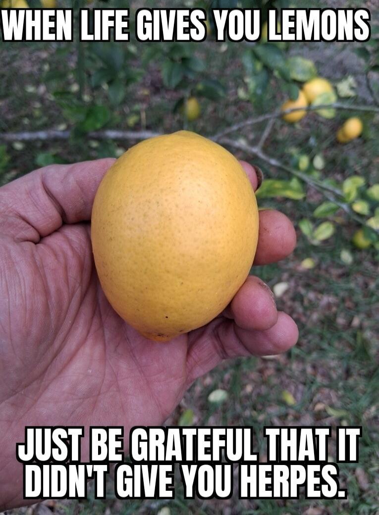 WHEN LIFE GIVES YOU LEMONS JUST BE GRATEFUL THAT IT DIDN'T GIVE YOU HERPES.
