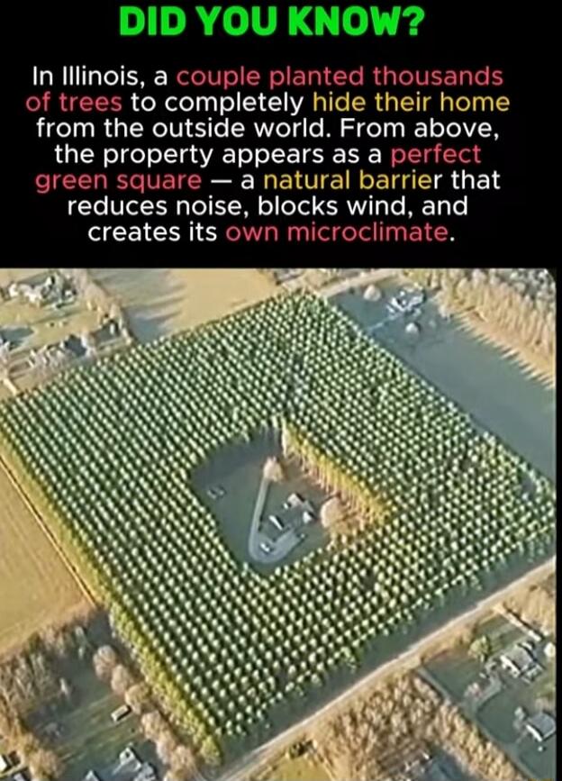 DID YOU KNOW? In Illinois, a couple planted thousands of trees to completely hide their home from the outside world. From above, the property appears as a perfect green square — a natural barrier that reduces noise, blocks wind, and creates its own microclimate.
