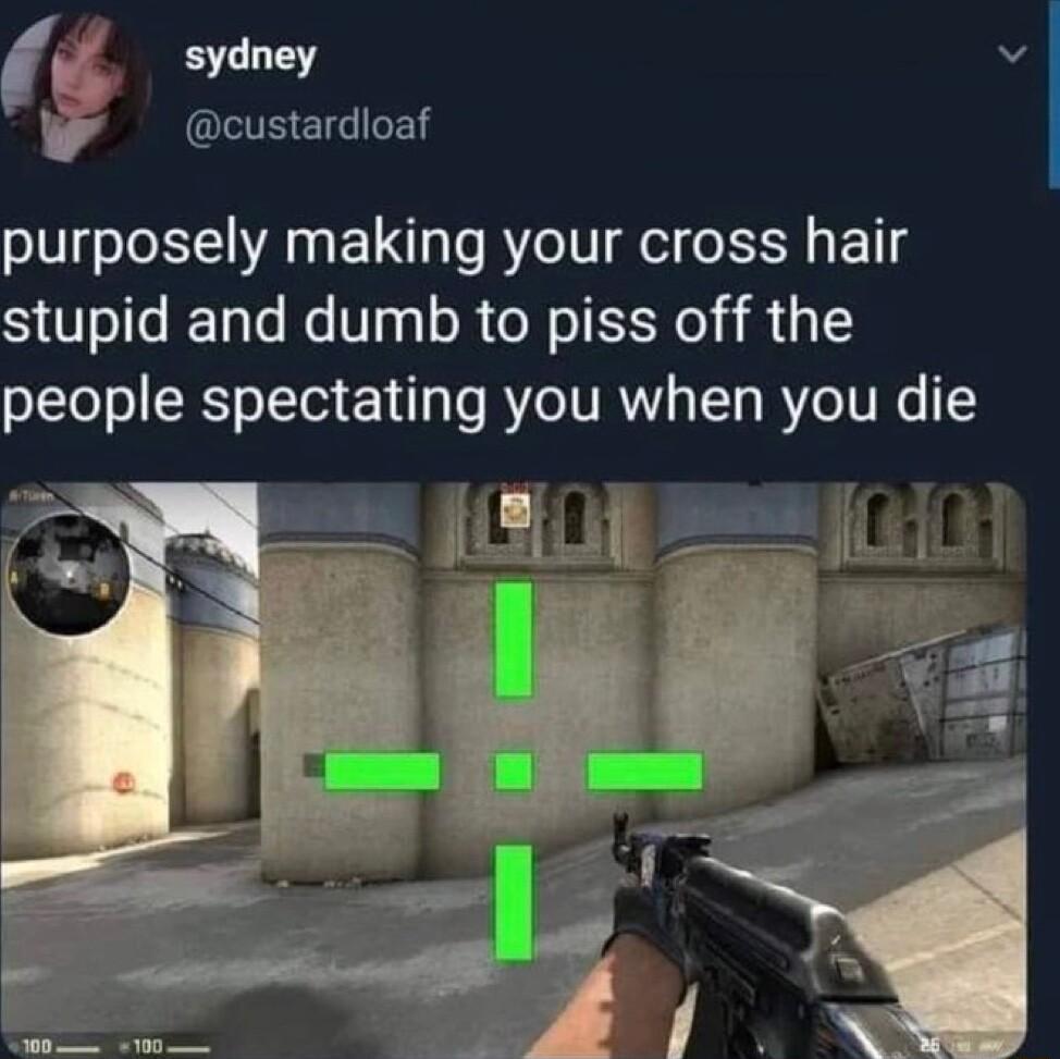 sydney v custardloaf purposely making your cross hair stupid and dumb to piss off the people spectating you when you die