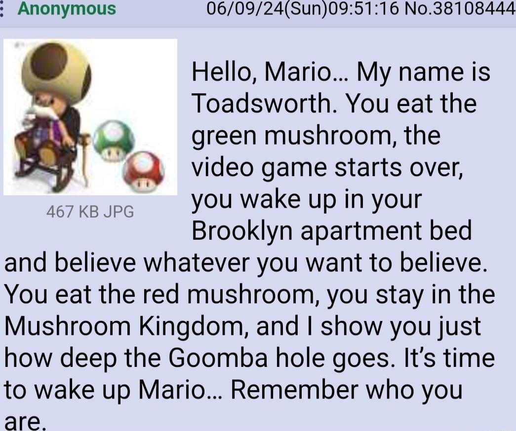 Anonymous 060924Sun095116 No38108444 Hello Mario My name is Toadsworth You eat the green mushroom the 4 video game starts over you wake up in your Brooklyn apartment bed and believe whatever you want to believe You eat the red mushroom you stay in the Mushroom Kingdom and show you just how deep the Goomba hole goes Its time to wake up Mario Remember who you are 467 KB JPG