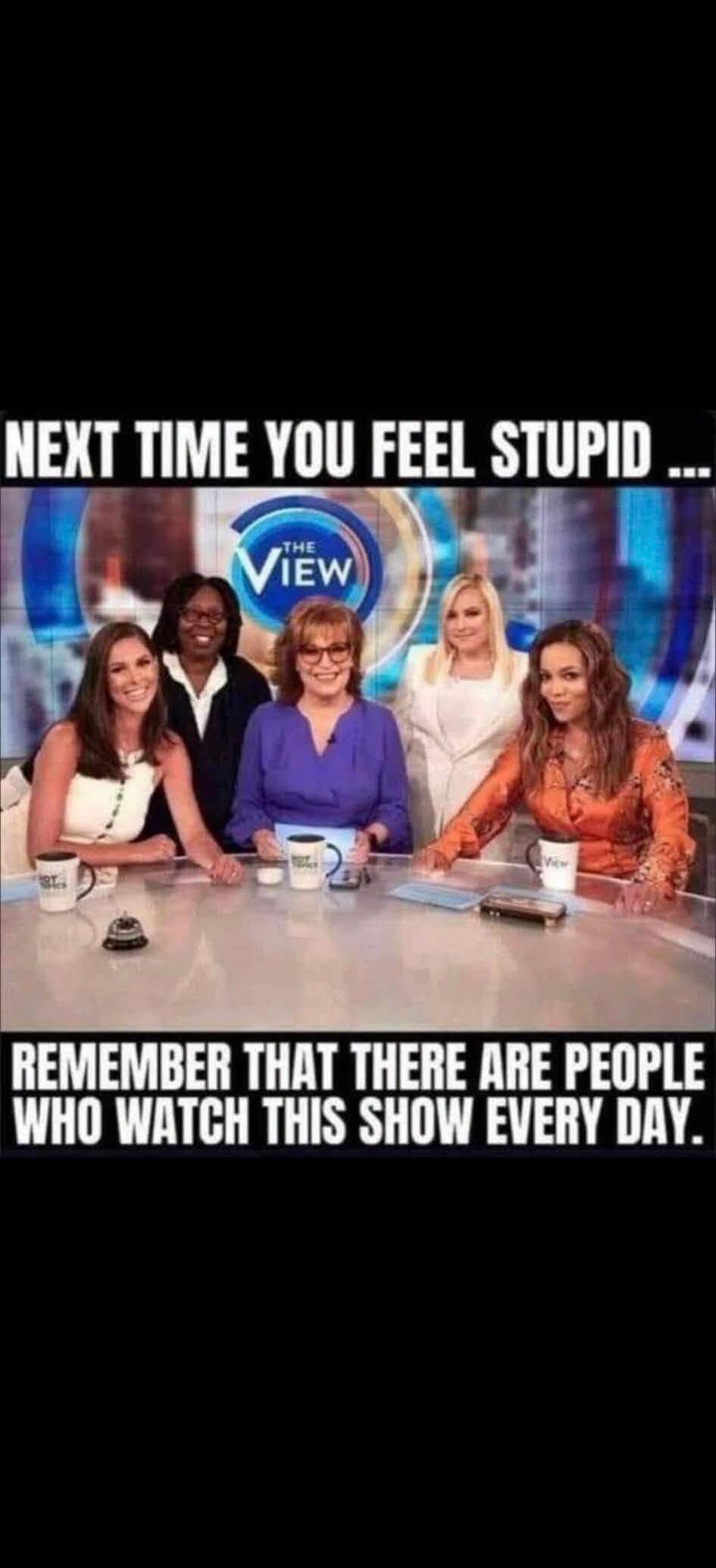 NEXT TIME YOU FEEL STUPID ... THE VIEW REMEMBER THAT THERE ARE PEOPLE WHO WATCH THIS SHOW EVERY DAY.