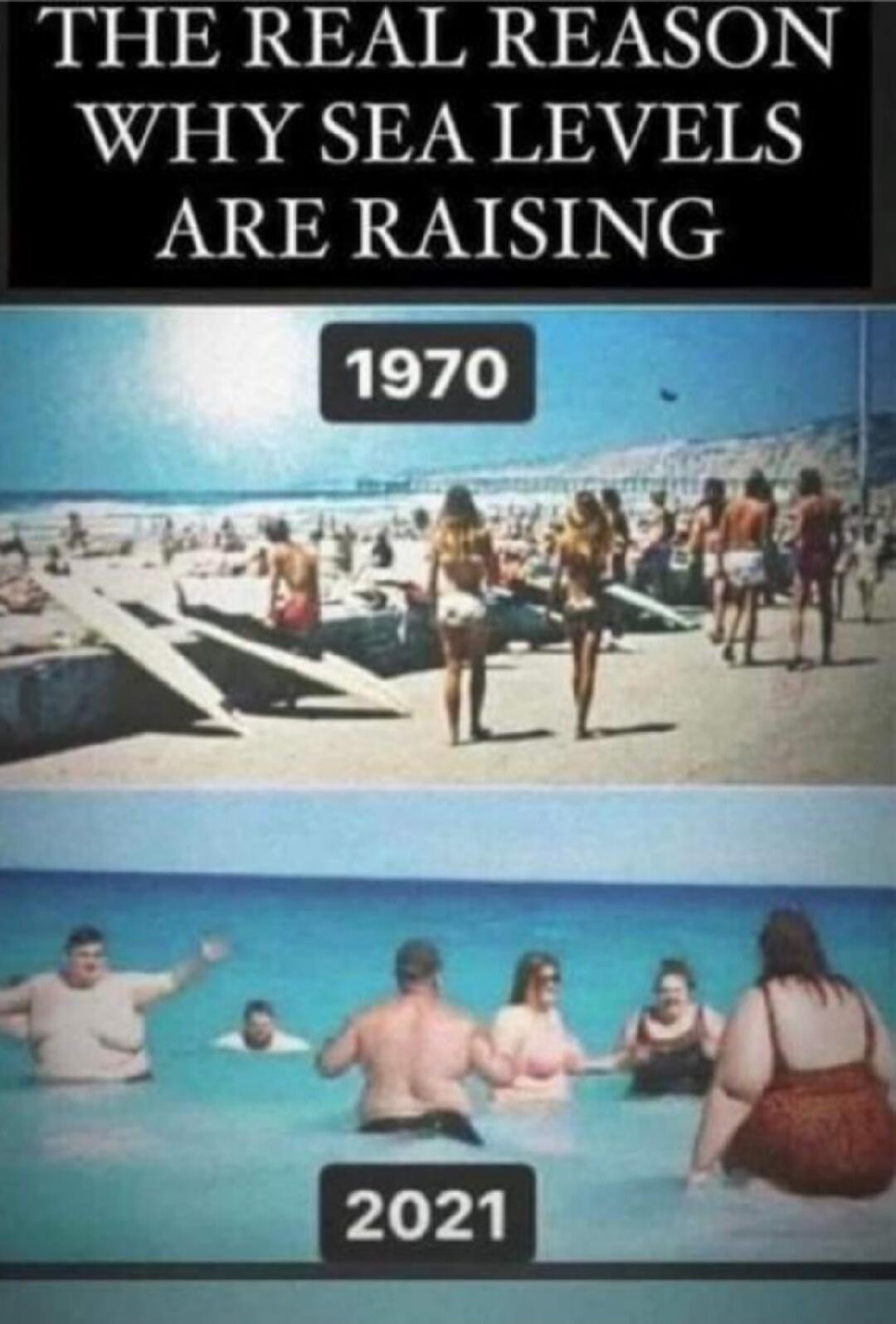 THE REAL REASON WHY SEA LEVELS ARE RAISING
1970
2021