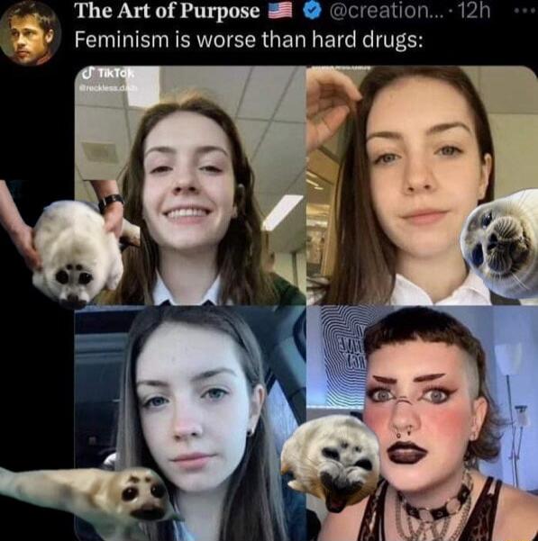 The Art of Purpose 8 creation 121 Feminism is worse than hard drugs