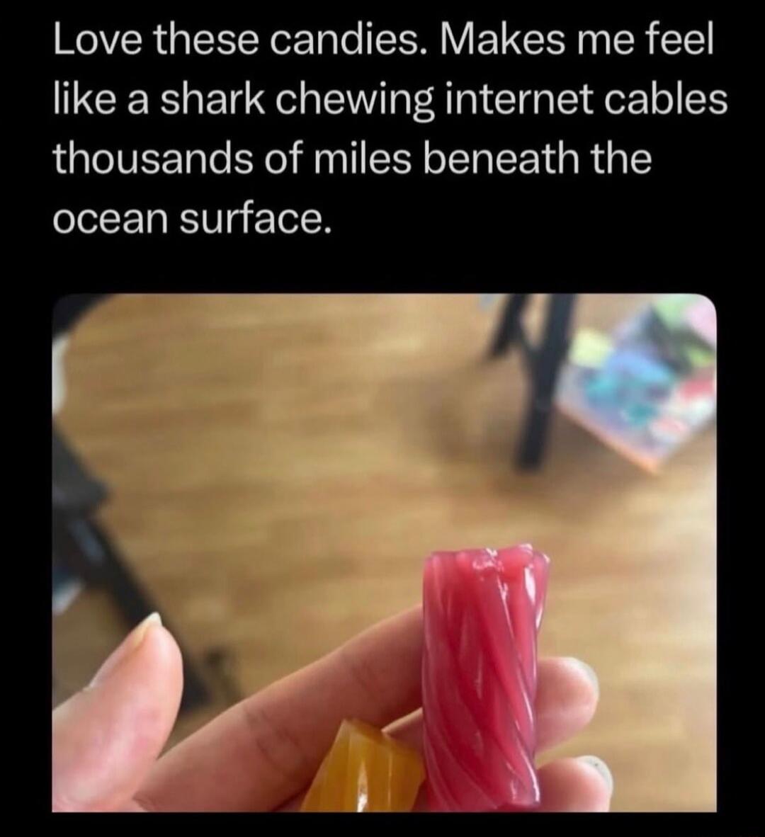 Love these candies. Makes me feel like a shark chewing internet cables thousands of miles beneath the ocean surface.