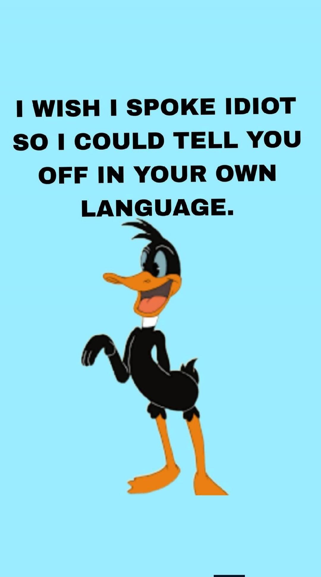 I WISH I SPOKE IDIOT SO I COULD TELL YOU OFF IN YOUR OWN LANGUAGE.
