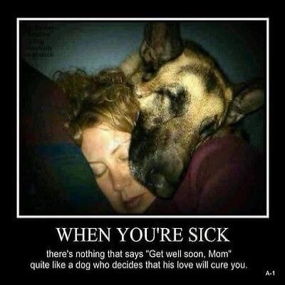 WHEN YOU'RE SICK there's nothing that says 'Get well soon, Mom' quite like a dog who decides that his love will cure you.