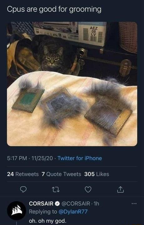 Cpus are good for grooming T 517 PM 112520 Twitter for iPhone 24 Retweets 7 Quote Tweets 305 Likes Q e O fu CORSAIR CORSAIR 1h Replying to DylanR77 oh oh my god