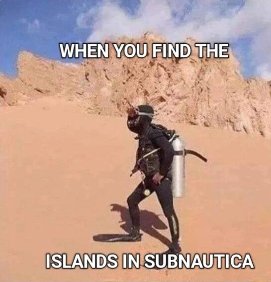 B N NYOU FIND by N O S o 0 A ISANS NSUENTAUIE