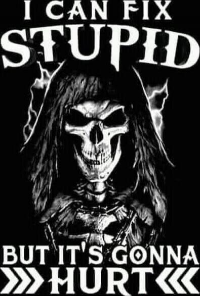 I CAN FIX STUPID BUT IT'S GONNA HURT