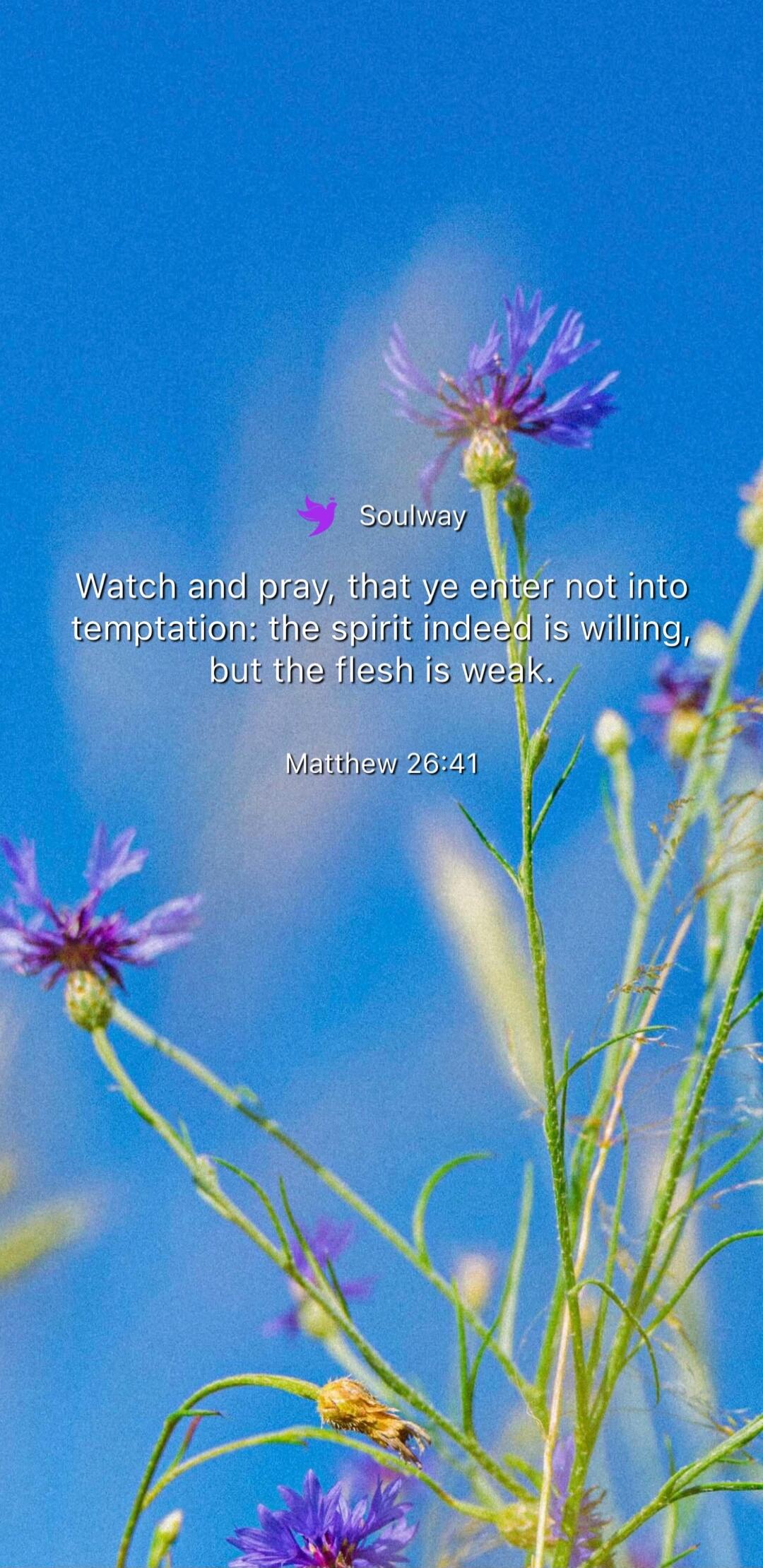 Soulway Watch and pray, that ye enter not into temptation: the spirit indeed is willing, but the flesh is weak. Matthew 26:41