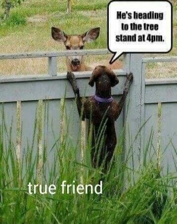 He's heading to the tree stand at 4pm. true friend