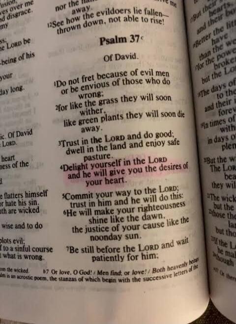 nor the name
away.
¹²See how the evildoers lie fallen—
thrown down, not able to rise!
Psalm 37
Of David.
¹Do not fret because of evil men
or be envious of those who do
wrong;
²for like the grass they will soon
wither,
like green plants they will soon die
away.
³Trust in the LORD and do good;
dwell in the land and enjoy safe
pasture.
⁴Delight yourse