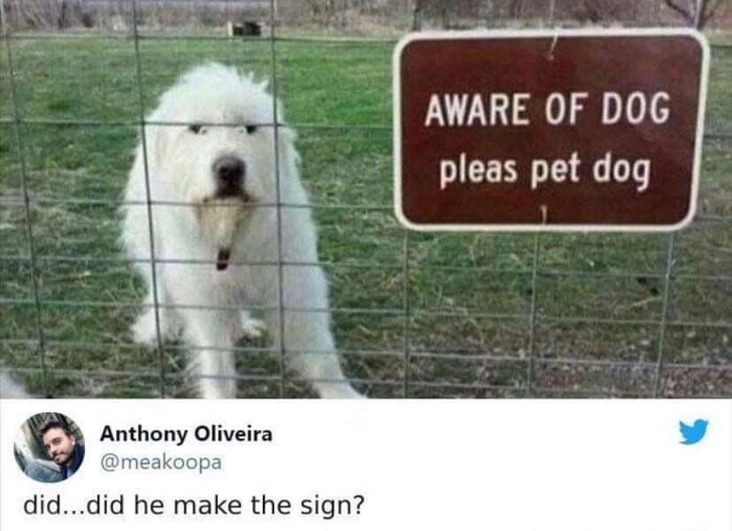 AWARE OF DOG pleas pet dog Anthony Oliveira meakoopa diddid he make the sign