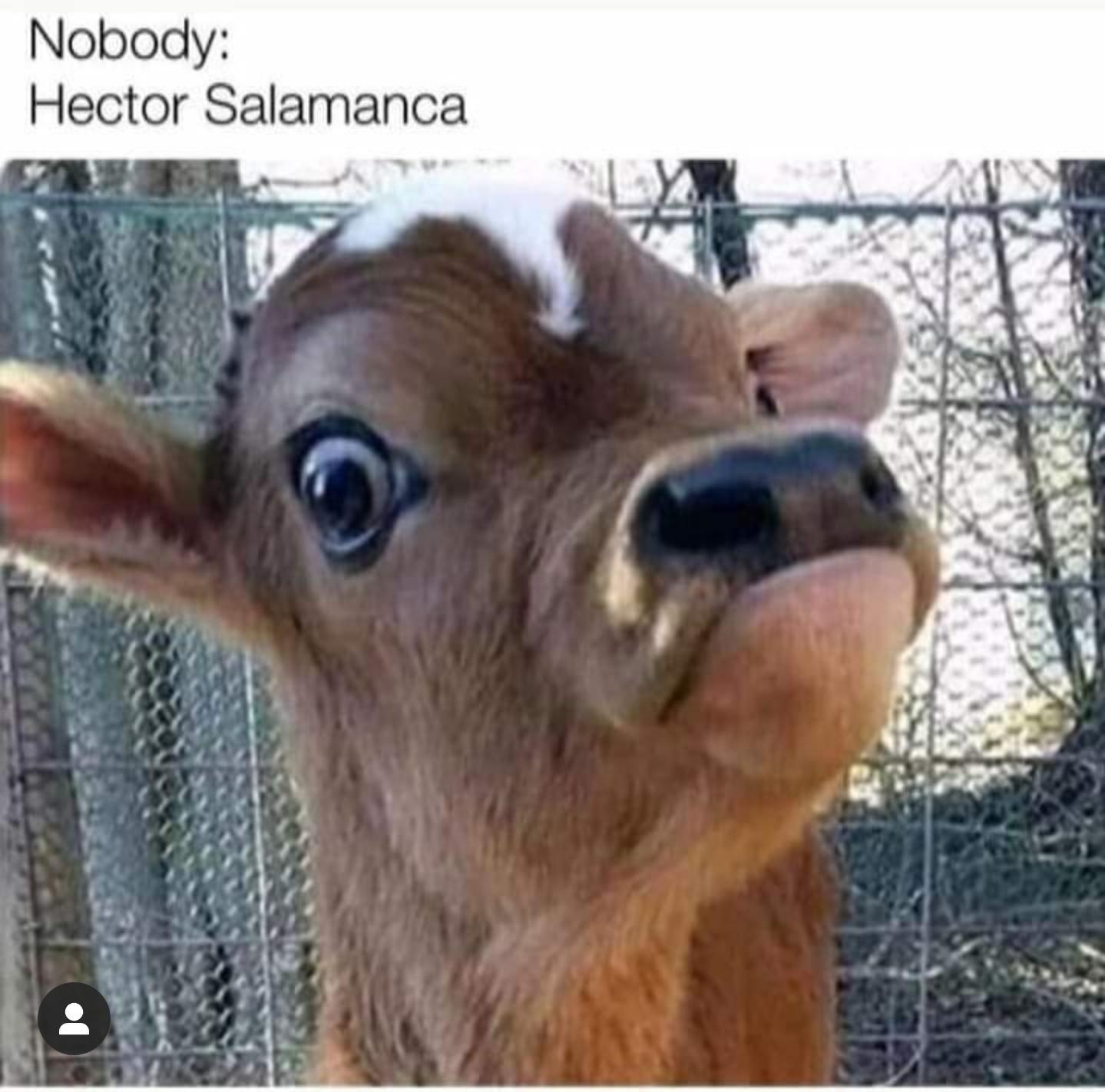 Nobody Hector Salamanca