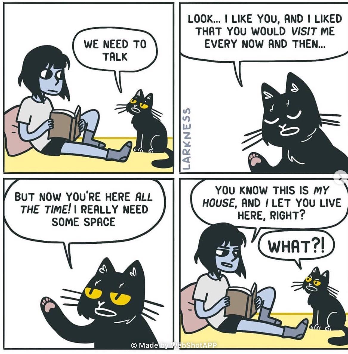 LOOK LIKE YOU AND I LIKED THAT YOU WOULD VISIT ME EVERY NOW AND THE VBUT NOW YOURE HERE ALL THE TIME REALLY NEED SOME SPACE YOU KNOW THIS IS my HOUSE AND 1 LET YOU LIVE HERE RIGHT