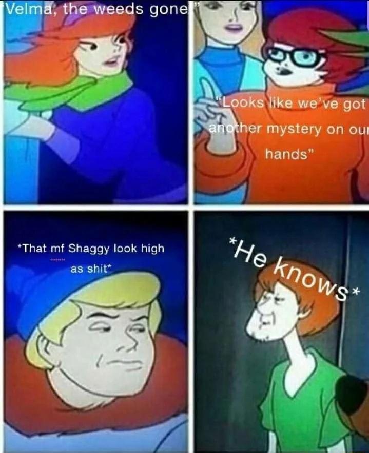 theweeds gone er mystery on oul That mf Shaggy look high as shit