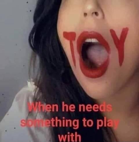 TOY. When he needs something to play with.