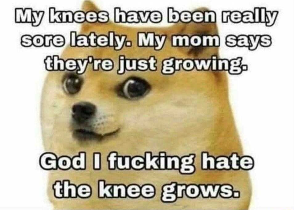y Coes heve B reelly sere EEE MYLLh cevs GIWEBIOQ growings exl 3 ete thelkneelgrows