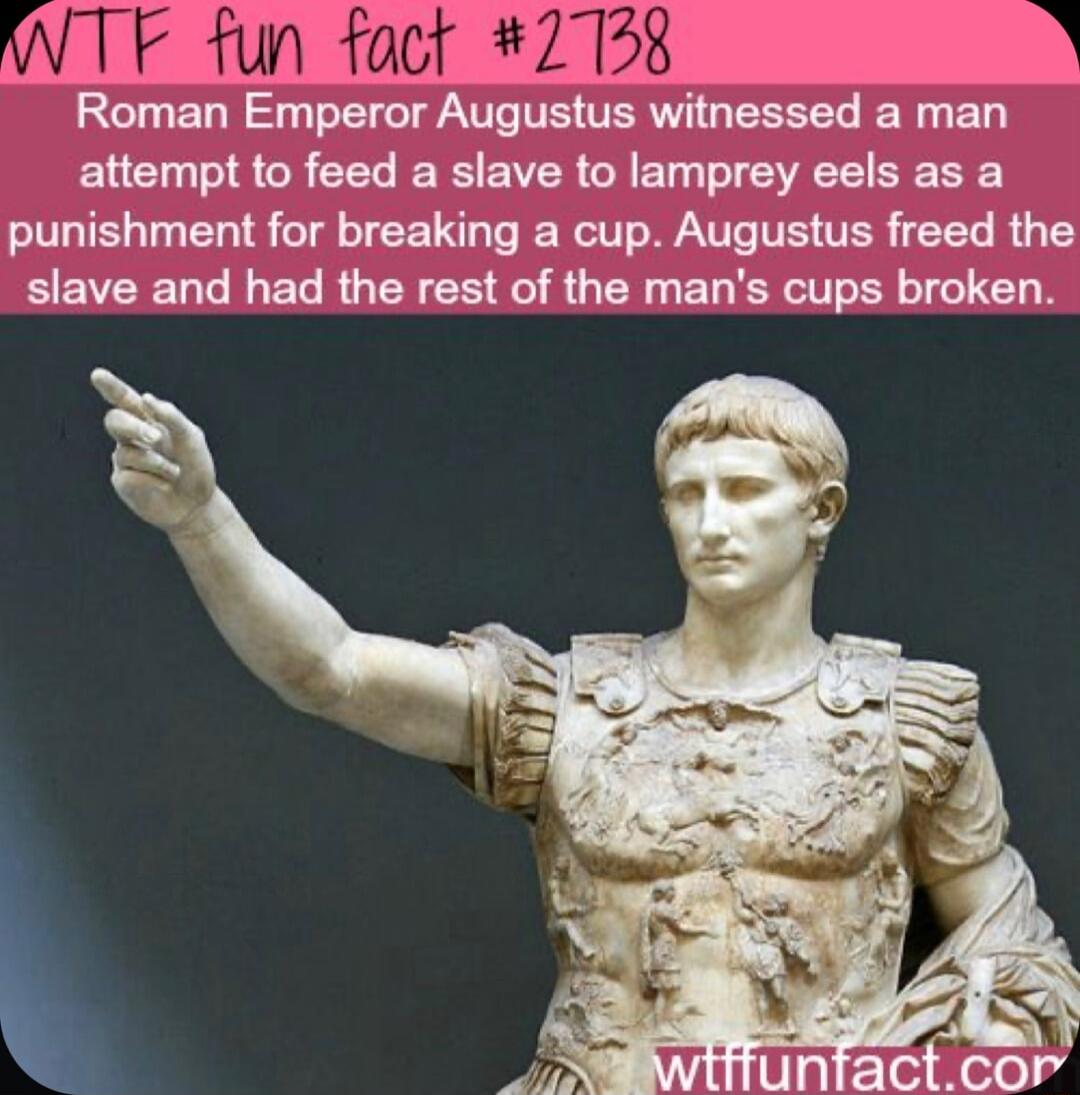 Roman Emperor Augustus witnessed a man attempt to feed a slave to lamprey eels as a punishment for breaking a cup Augustus freed the slave and had the rest of the mans cups broken