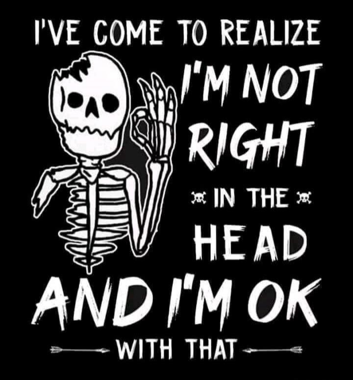 I'VE COME TO REALIZE I'M NOT RIGHT IN THE HEAD AND I'M OK WITH THAT