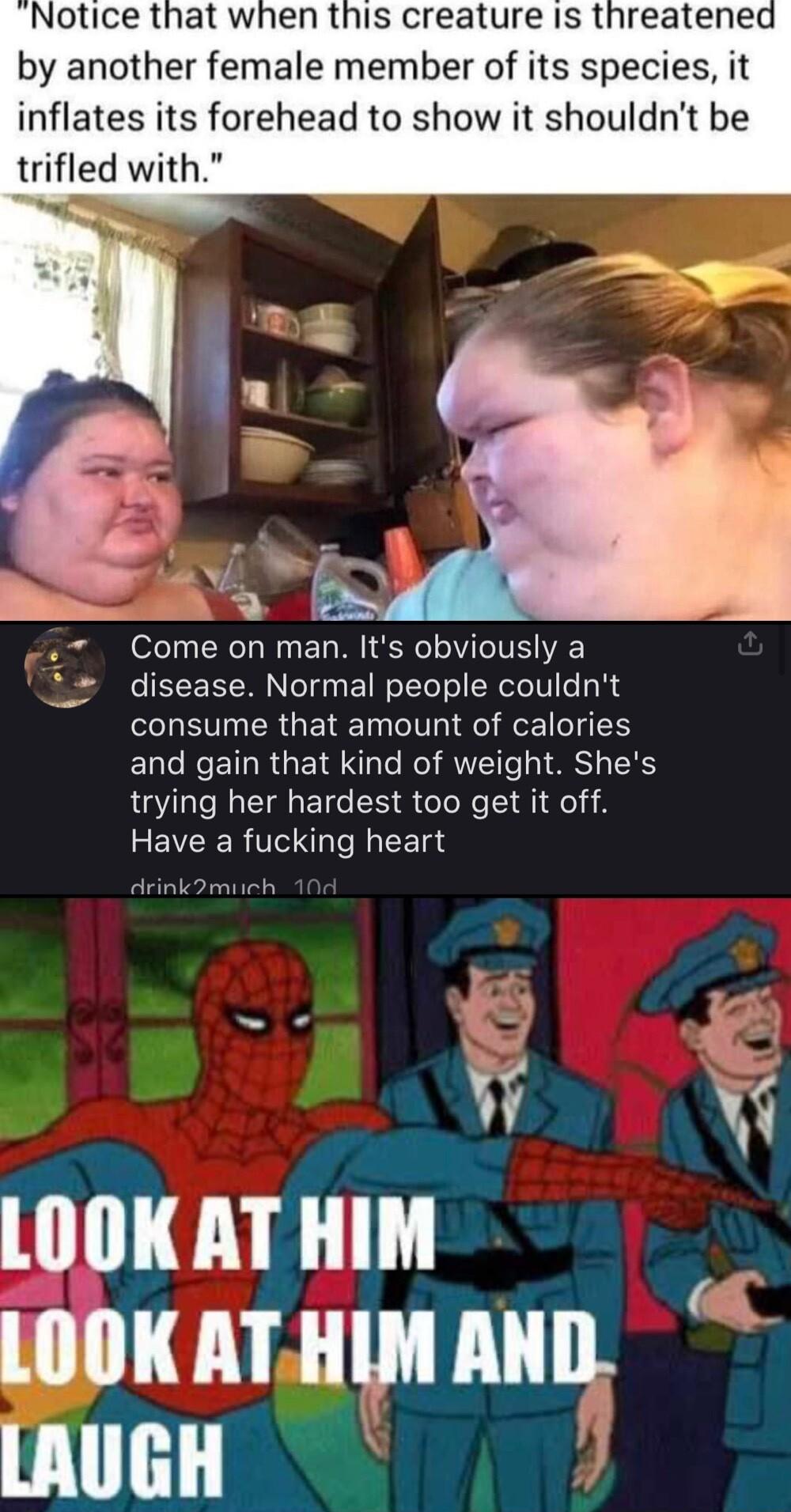 by another female member of its species it inflates its forehead to show it shouldnt be trifled with Come on man Its obviously a disease Normal people couldnt consume that amount of calories and gain that kind of weight Shes trying her hardest too get it off EEVCERTSNL N EEgd Arinkomiich LOOKAT HIM LOOKATHIM Allll LAUGH