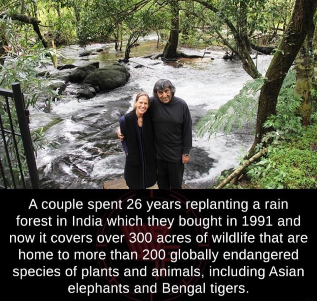 forest in India which they bought in 1991 and now it covers over 300 acres of wildlife that are home to more than 200 globally endangered species of plants and animals including Asian elephants and Bengal tigers