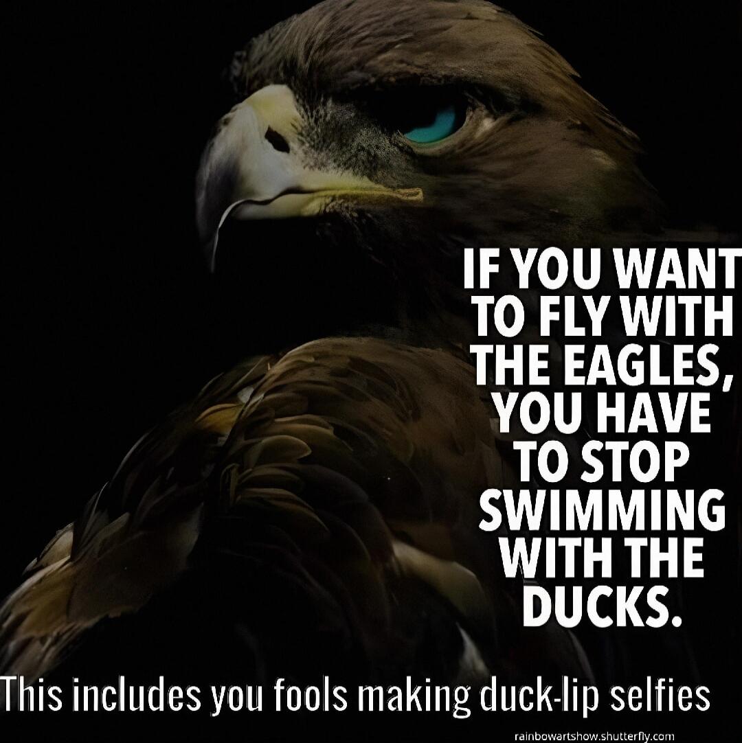 If you want to fly with the eagles, you have to stop swimming with the ducks. This includes you fools making duck-lip selfies