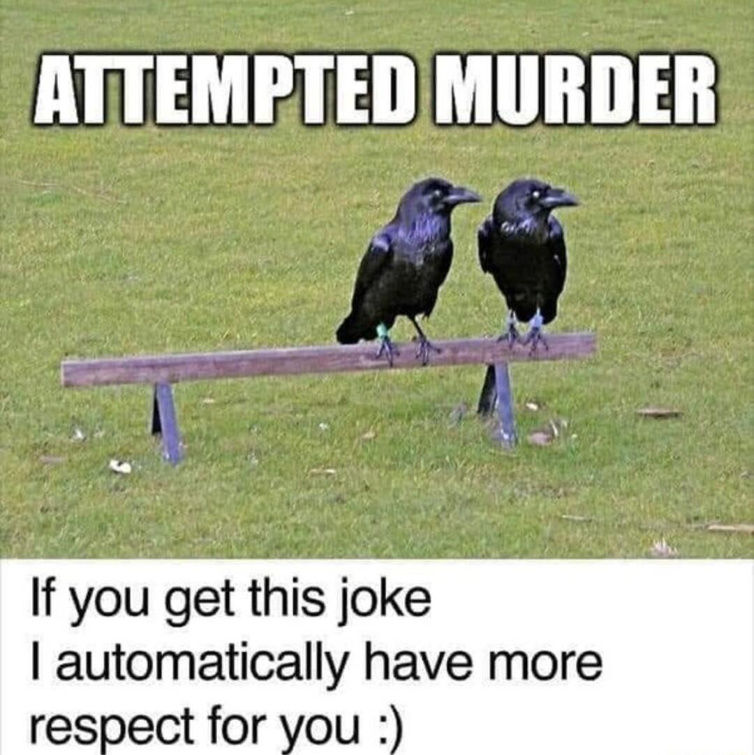 ATTEMPTED MURDER If you get this joke automatically have more respect for you
