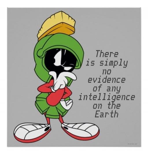 There is simply no evidence of any intelligence on the Earth.