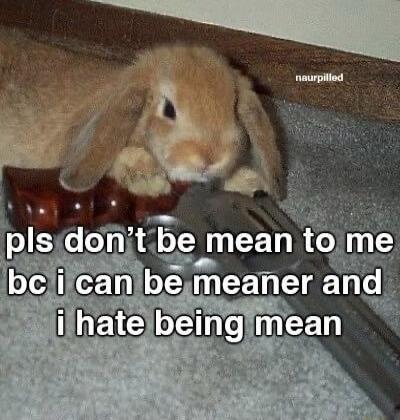 pls don't be mean to me bc i can be meaner and i hate being mean naurpilled