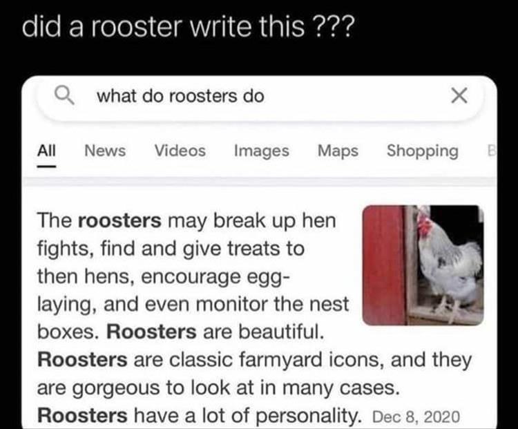 did a rooster write this what do roosters do Al News Videos Images Maps Shopping The roosters may break up hen fights find and give treats to then hens encourage egg laying and even monitor the nest boxes Roosters are beautiful Roosters are classic farmyard icons and they are gorgeous to look at in many cases Roosters have a lot of personality