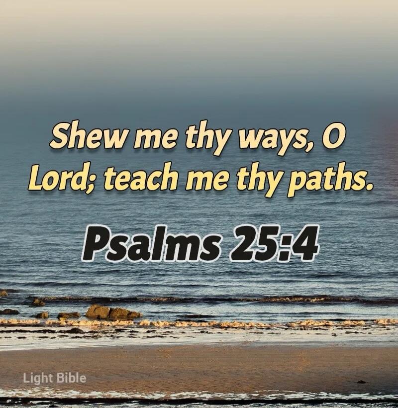 Shew me thy ways, O Lord; teach me thy paths. Psalms 25:4 Light Bible