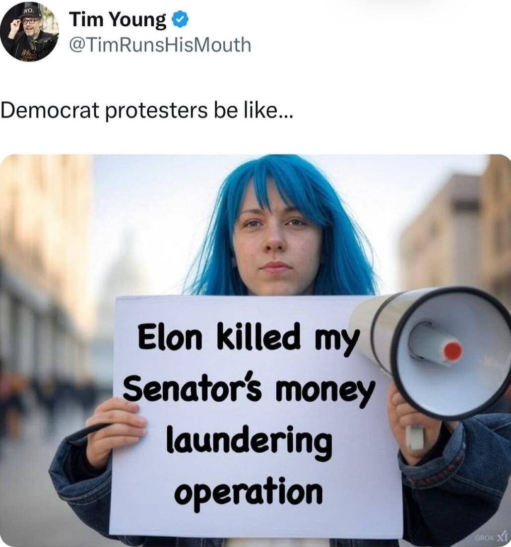 Tim Young TimRunsHisMouth Democrat protesters be like Elon killed my Senators money laundering operation