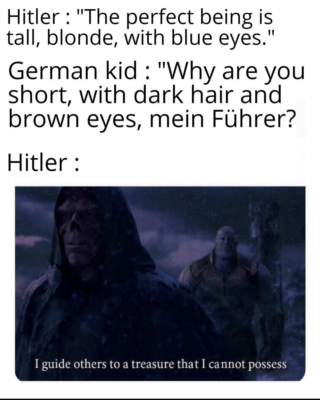 Hitler The perfect being is tall blonde with blue eyes German kid Why are you short with dark hair and brown eyes mein Fuhrer Hitler I guide others to a treasure that I cannot possess