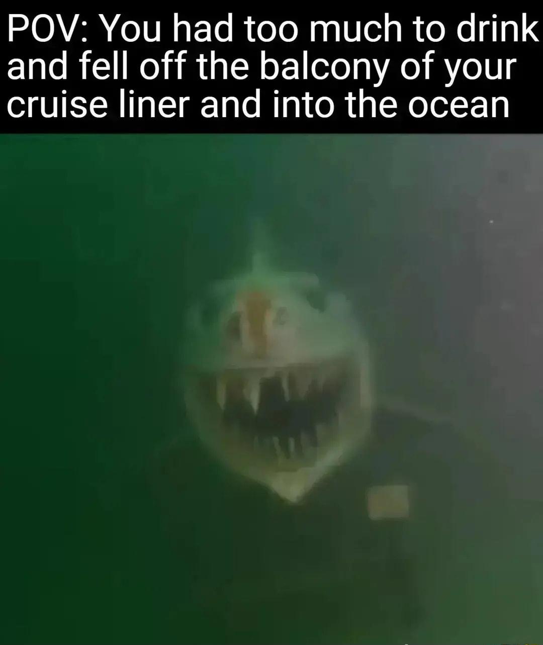 POV You had too much to drink and fell off the balcony of your cruise liner and into the ocean