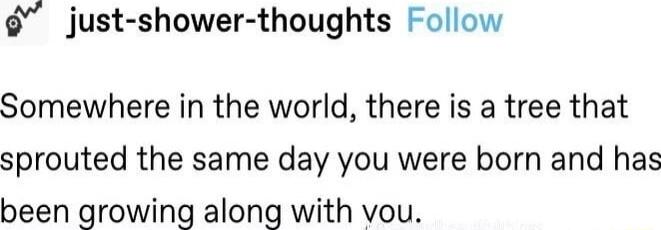 just shower thoughts Follow Somewhere in the world there is a tree that sprouted the same day you were born and has been growing along with vou