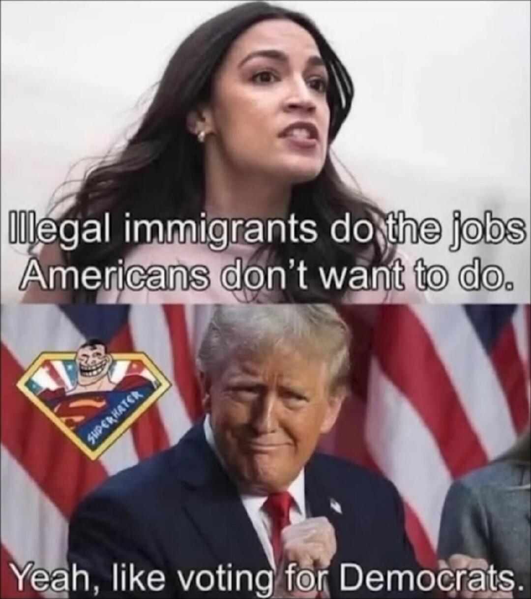 Illegal immigrants do the jobs Americans don't want to do. Yeah, like voting for Democrats.