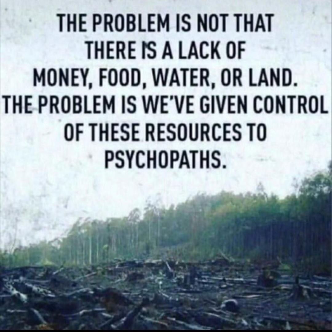 THE PROBLEM IS NOT THAT THERE IS A LACK OF MONEY, FOOD, WATER, OR LAND. THE PROBLEM IS WE'VE GIVEN CONTROL OF THESE RESOURCES TO PSYCHOPATHS.